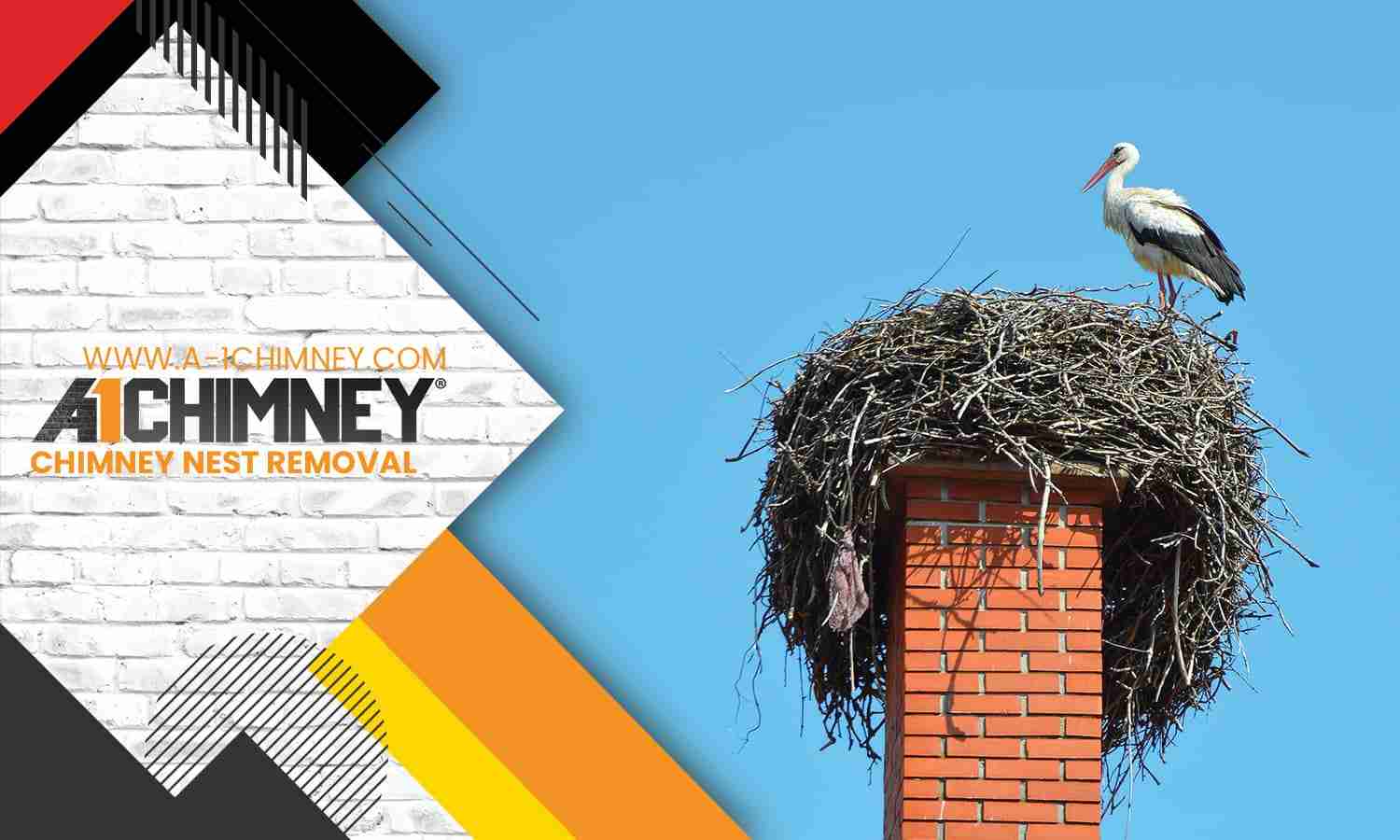 Chimney Nest Removal